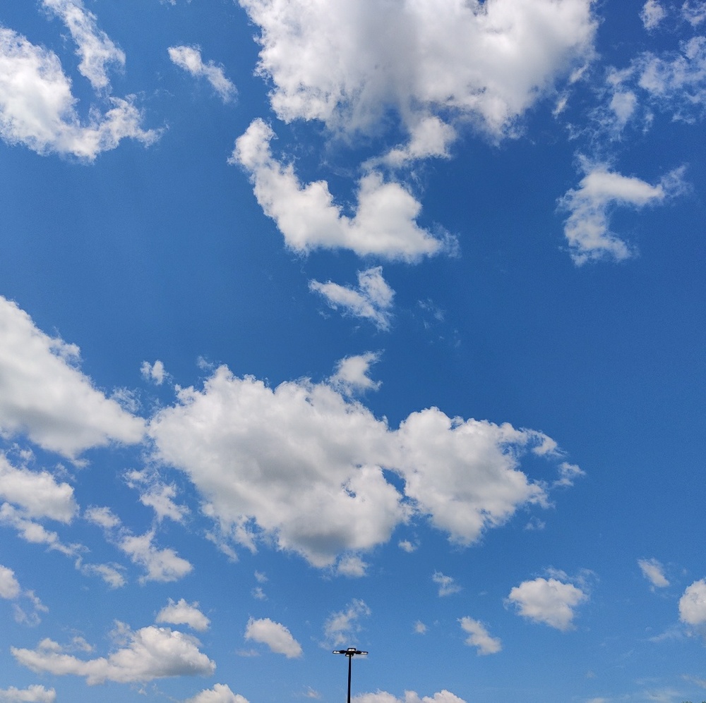 Meet your Posher, Renee